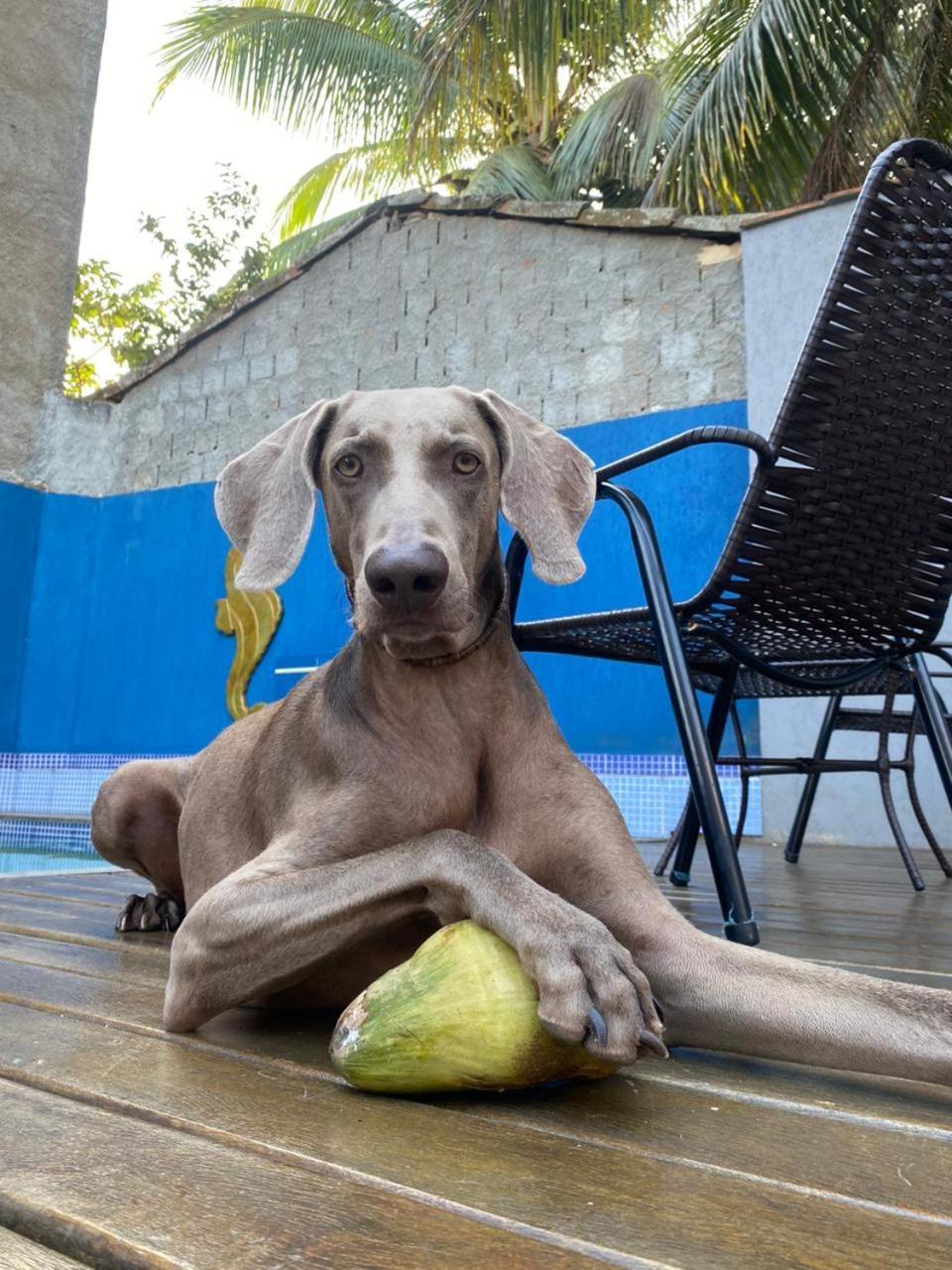 Casa Jaguar Buzios Suites A 3 Minutos Da Praia Geriba Екстер'єр фото